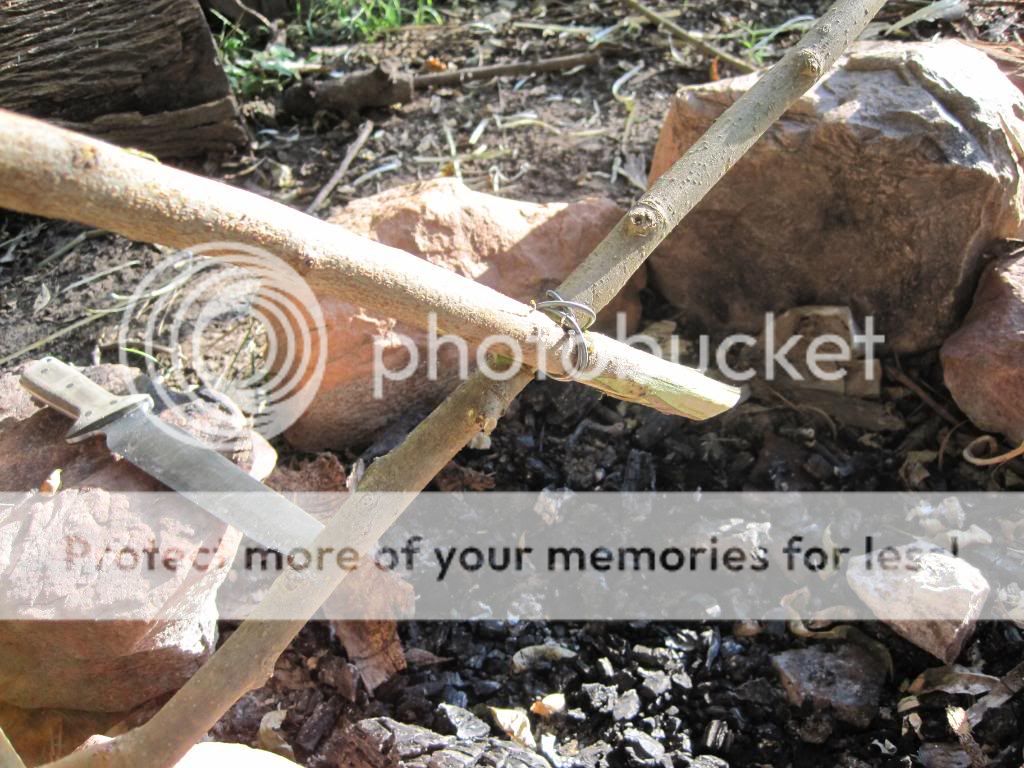 IMG_0112.jpg