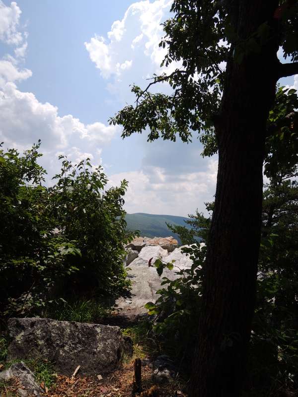 dscn0532b.jpg