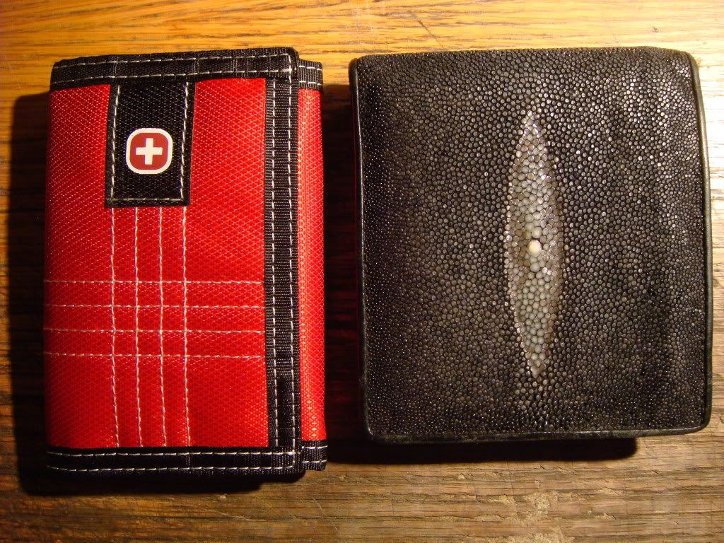 DSC07445.jpg