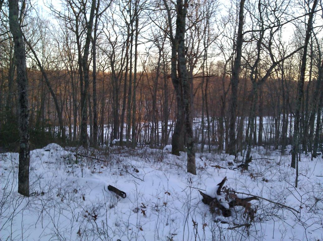 ASC-northpond-small.jpg