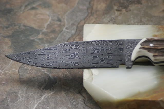 _MG_9810.jpg