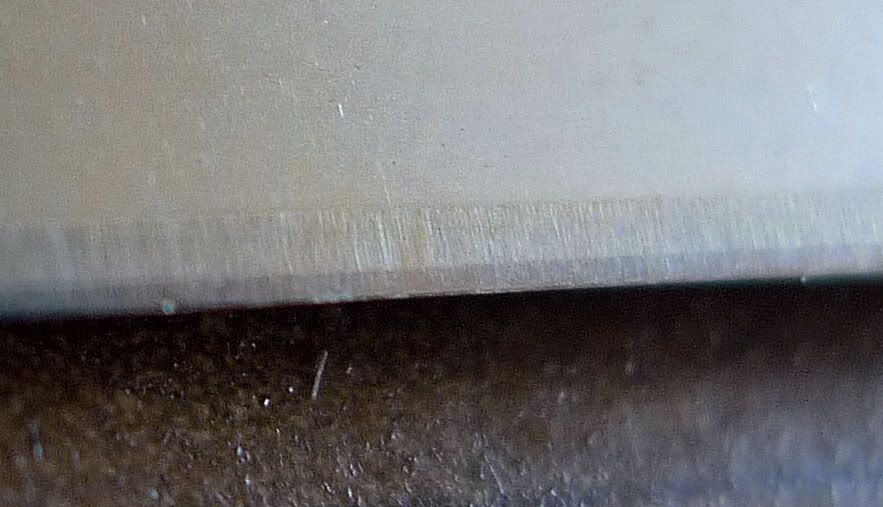 P1020821.jpg