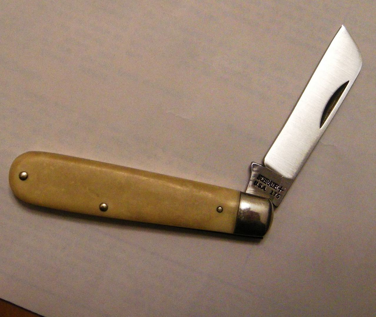 DSCN5598.jpg