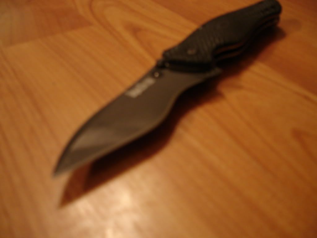 DSC01598.jpg