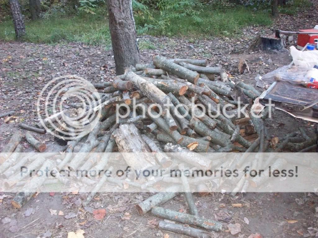 100_1371.jpg