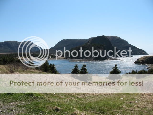 JamesCookBottleCove01.jpg