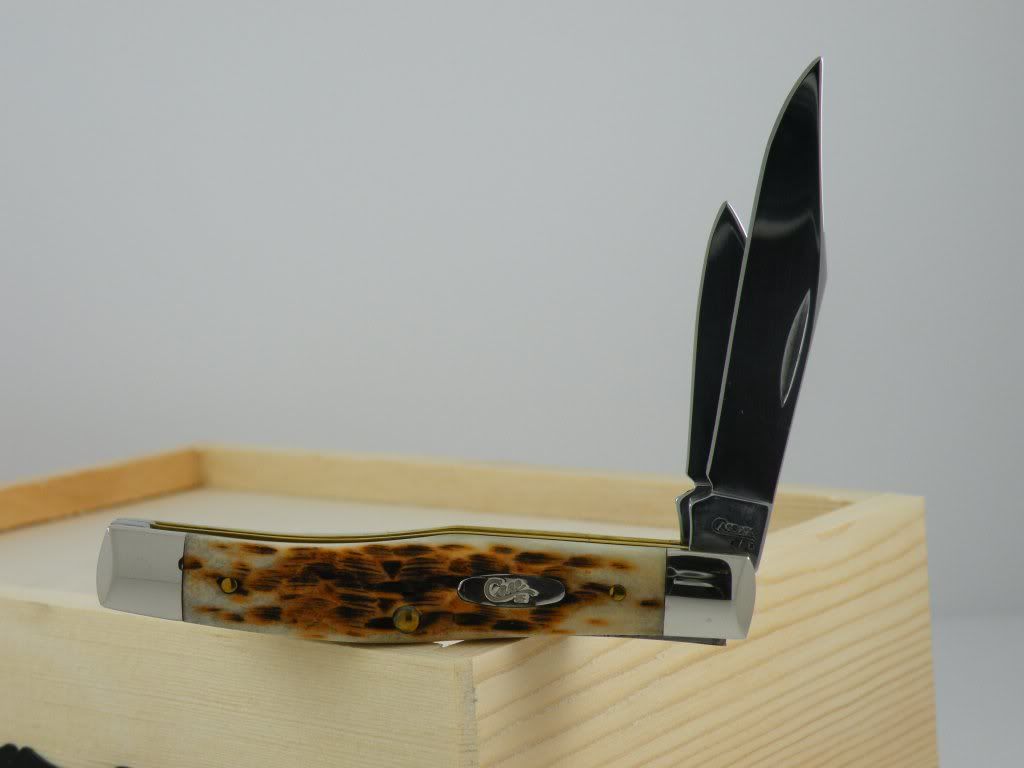 CASE077-1.jpg