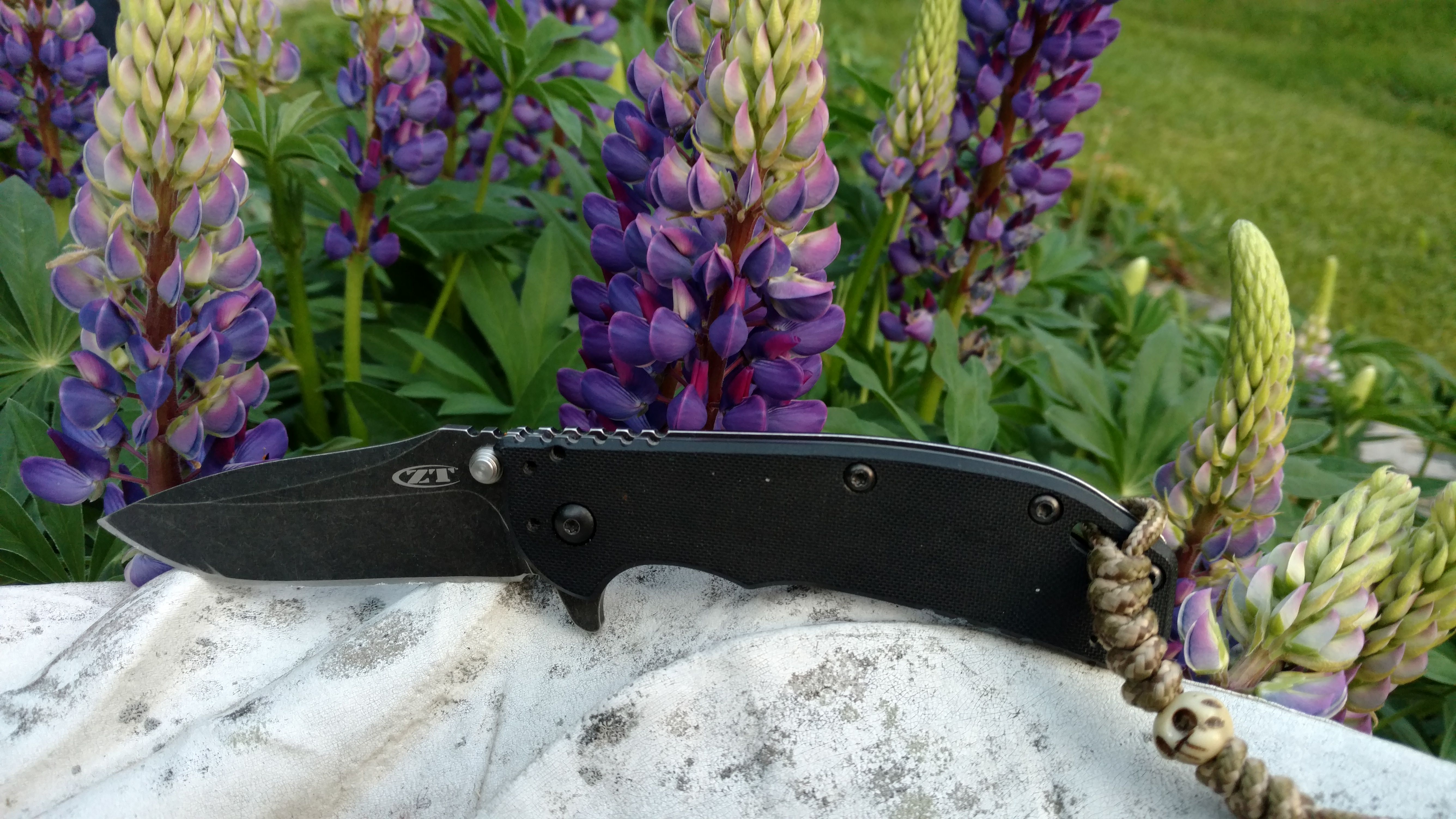 wvk6MN8.jpg