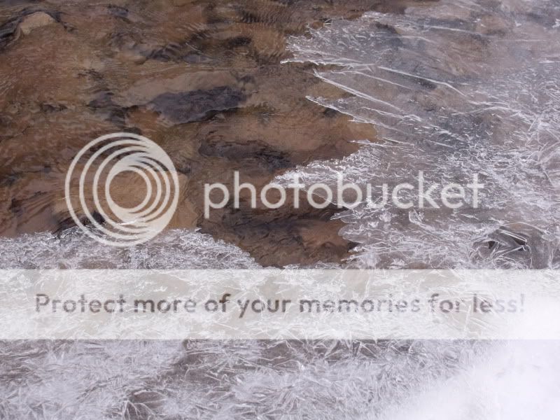Febweekendsnowshoeing028.jpg