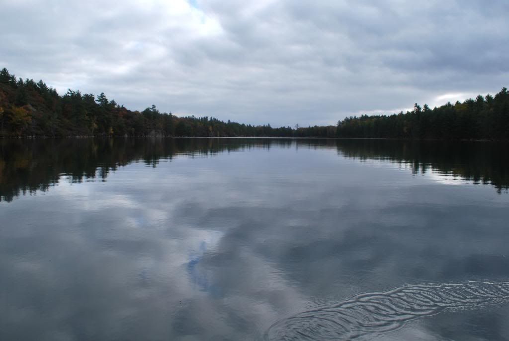 DSC_0058-3.jpg