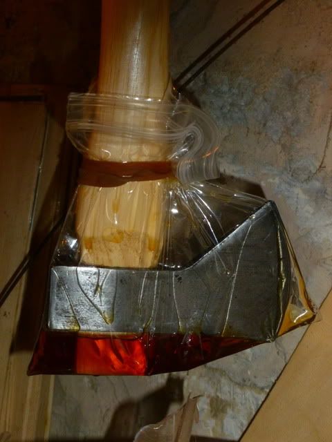 P1000804.jpg