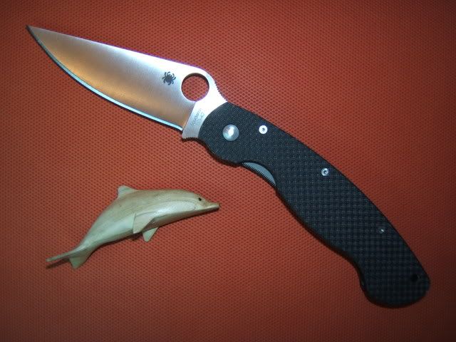 dolphin.jpg