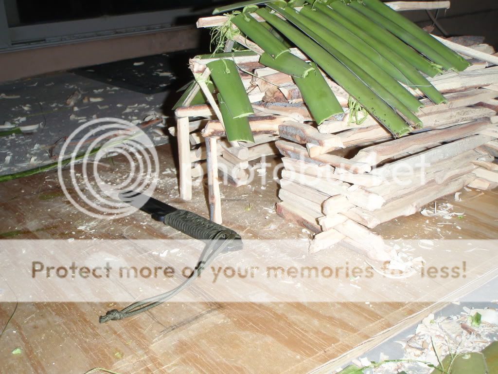 PC300847.jpg
