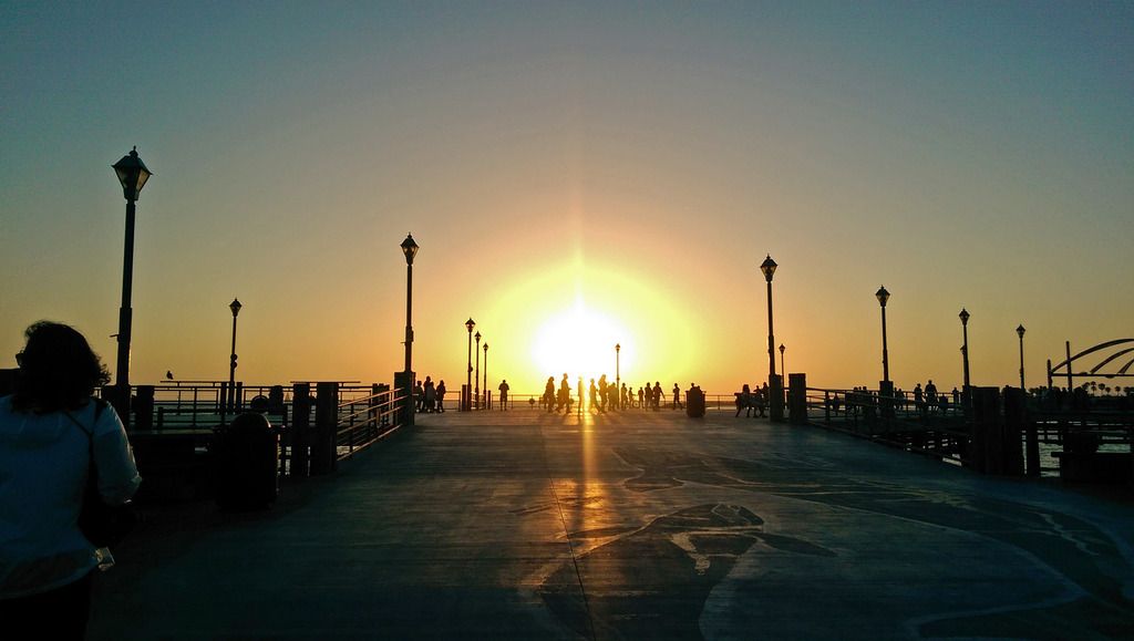 IMAG0510.jpg