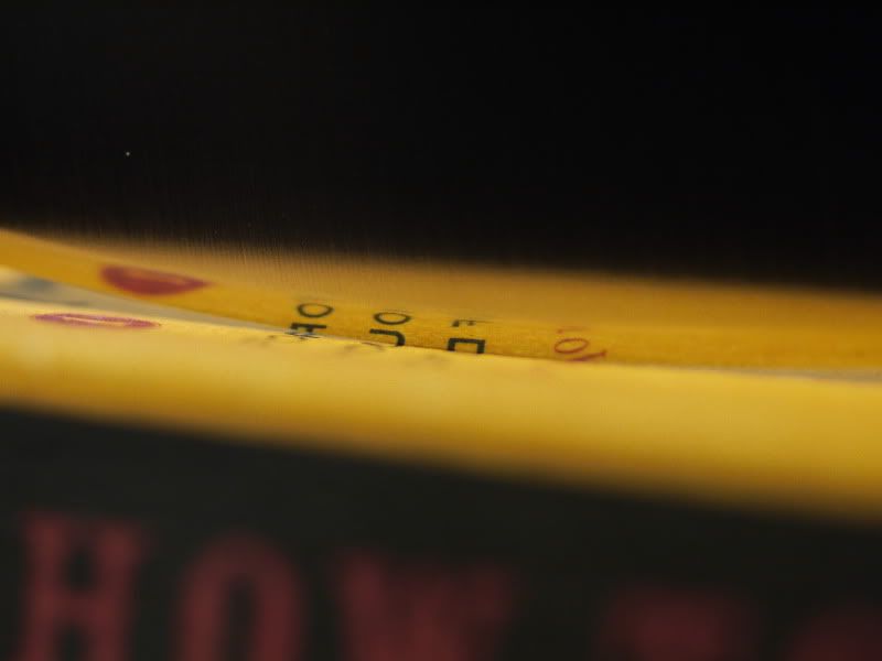 P1010351.jpg