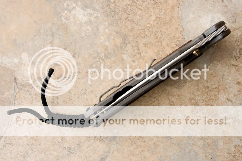 Sebenza2-5.jpg