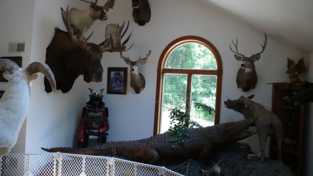 trophies005.jpg