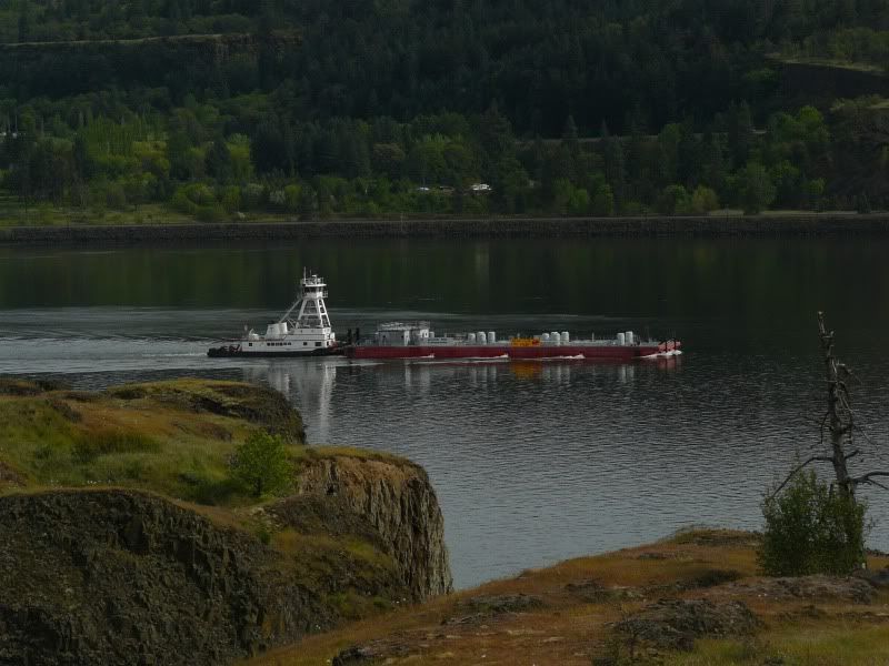 484.jpg