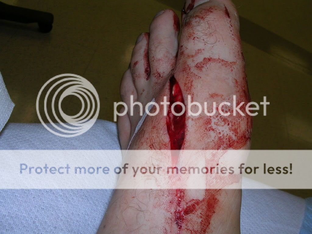 DSCN1565.jpg