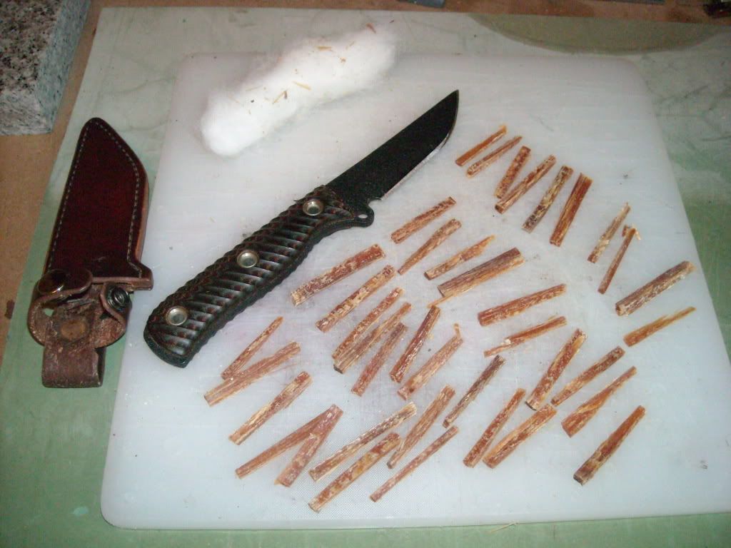 DSCN2907.jpg