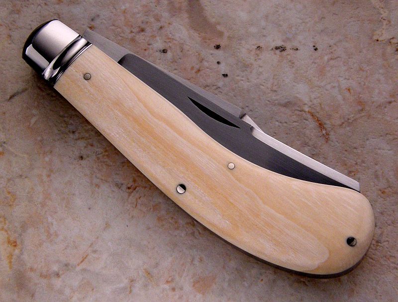 tbose-458ivory2bladesaddlehorn-5.jpg