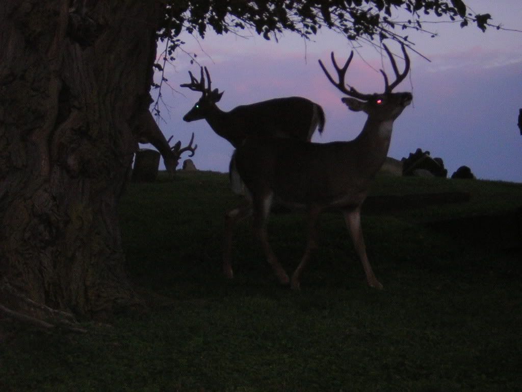 DSCN9701_zps3e662330.jpg