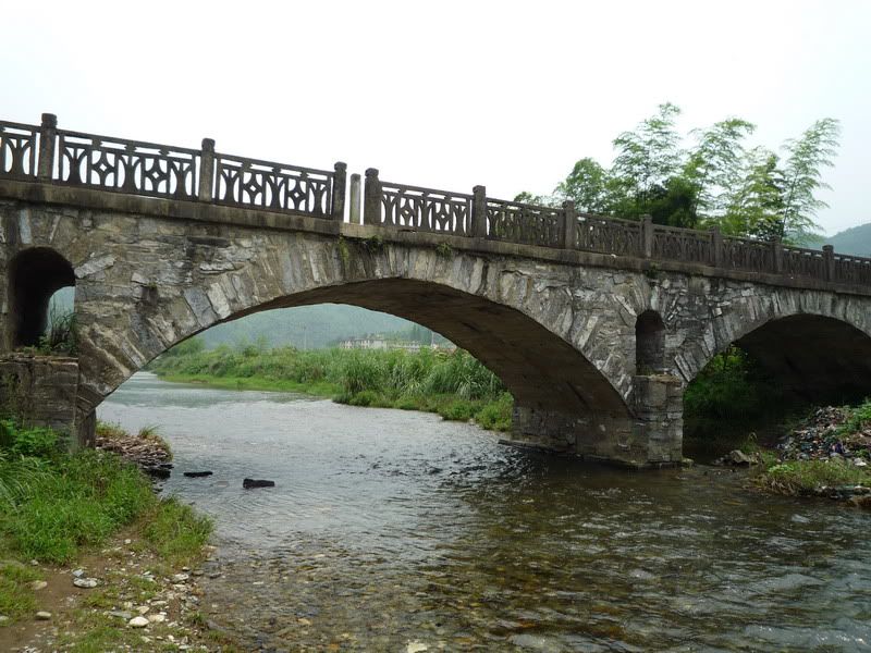 P1000951.jpg