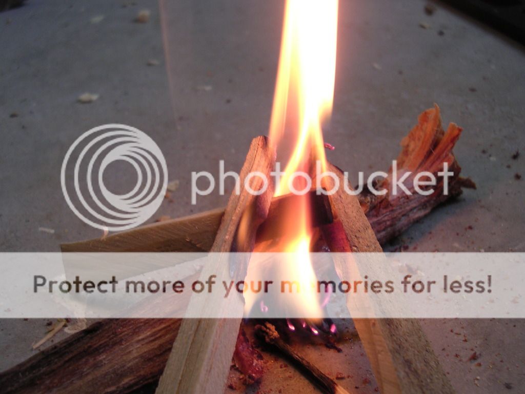 Firecontest028.jpg