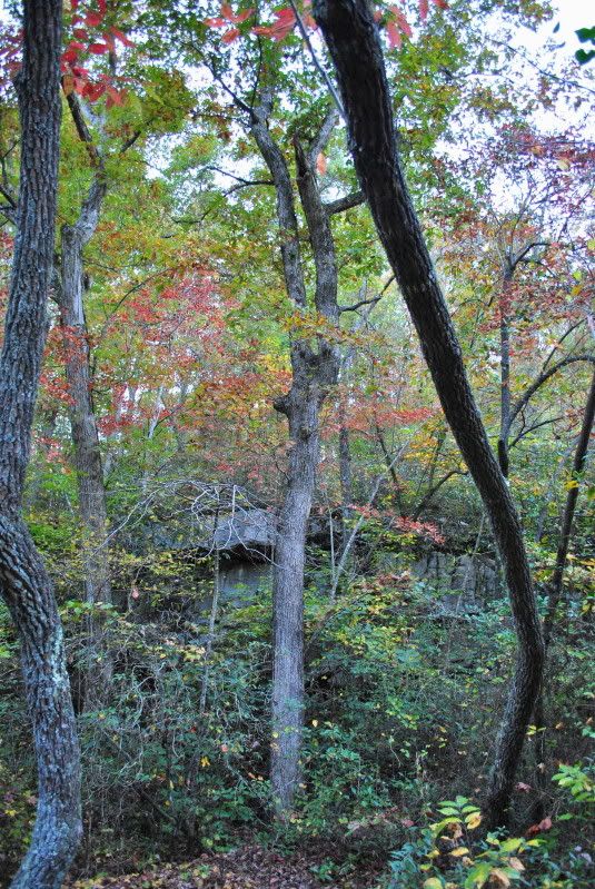 DSC_7946.jpg