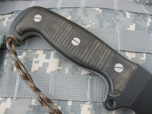 Busse_SHSHII_006.jpg