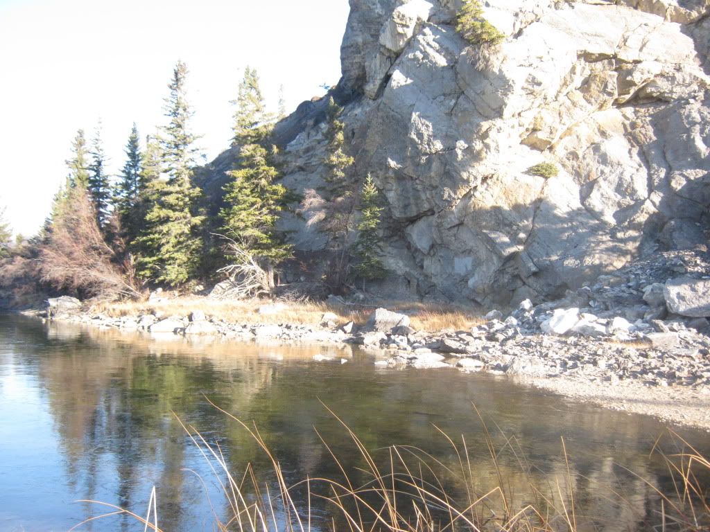 IMG_9319.jpg