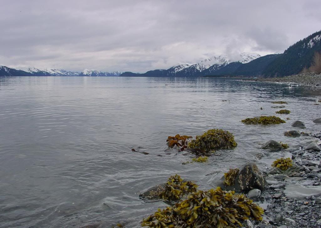 2004-04-2917-25-12_resize.jpg