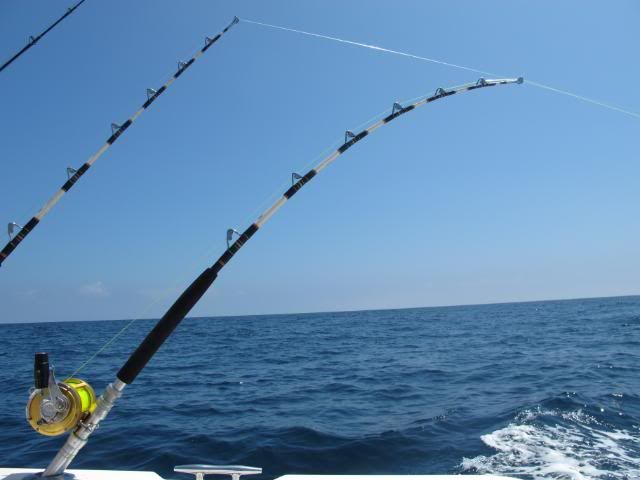 IMG_4827.jpg