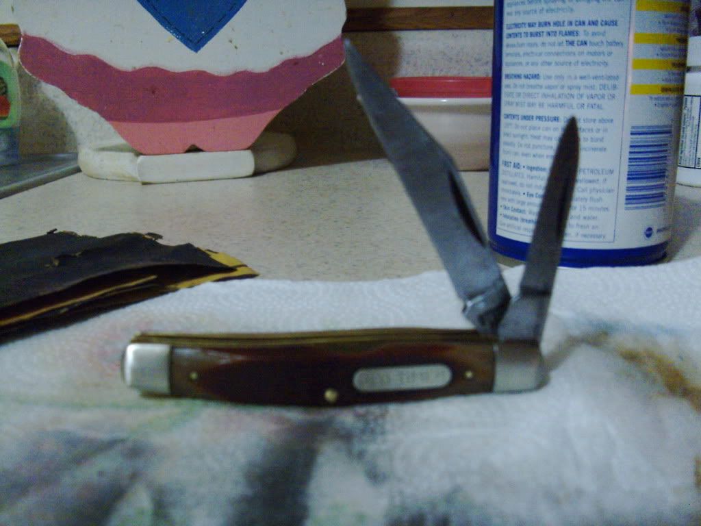 PICT0061.jpg