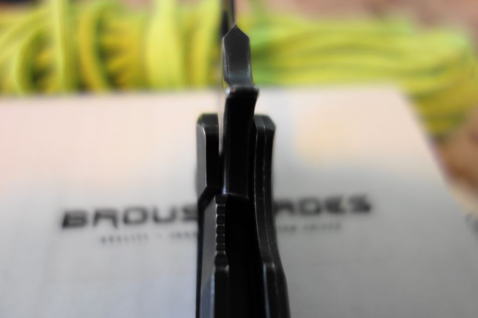 DSC01687_zps1f0116ce.jpg