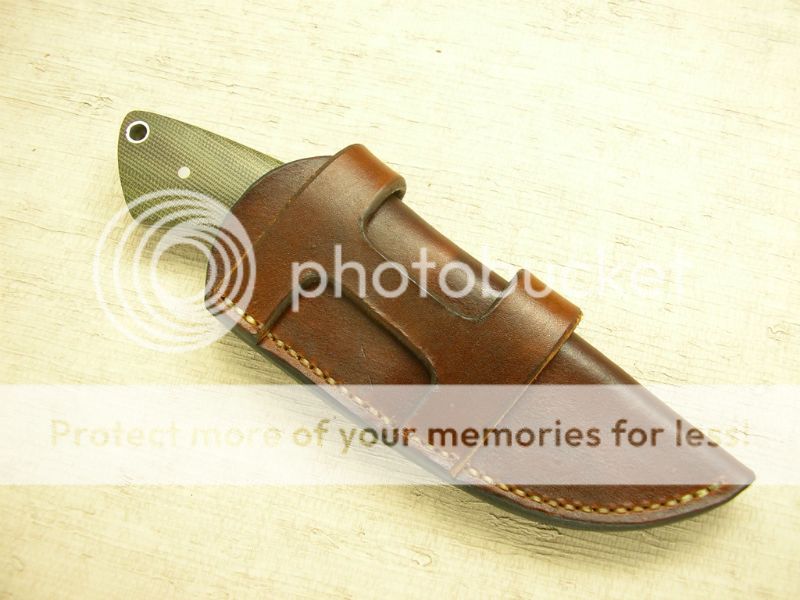 IMGP2252_zpsd80110e3.jpg