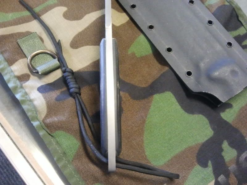 2011-09-28113810.jpg