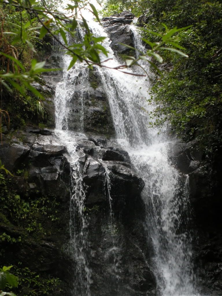 DSCN0941.jpg
