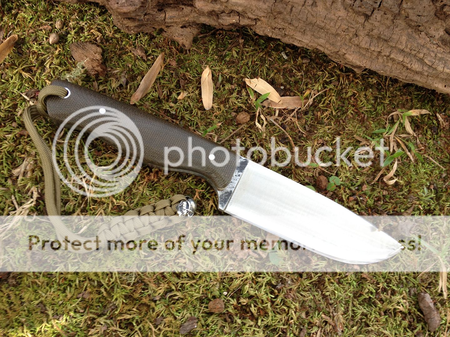 null_zpsbe07e99e.jpg