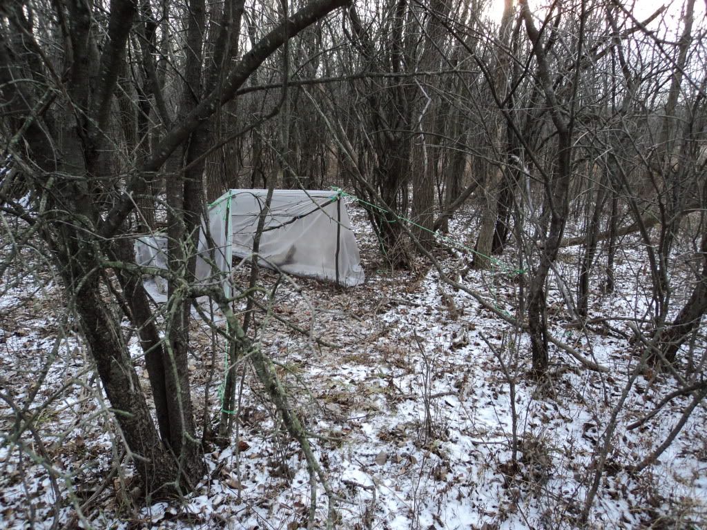 DSC04270.jpg