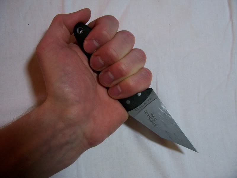 Ronin.jpg
