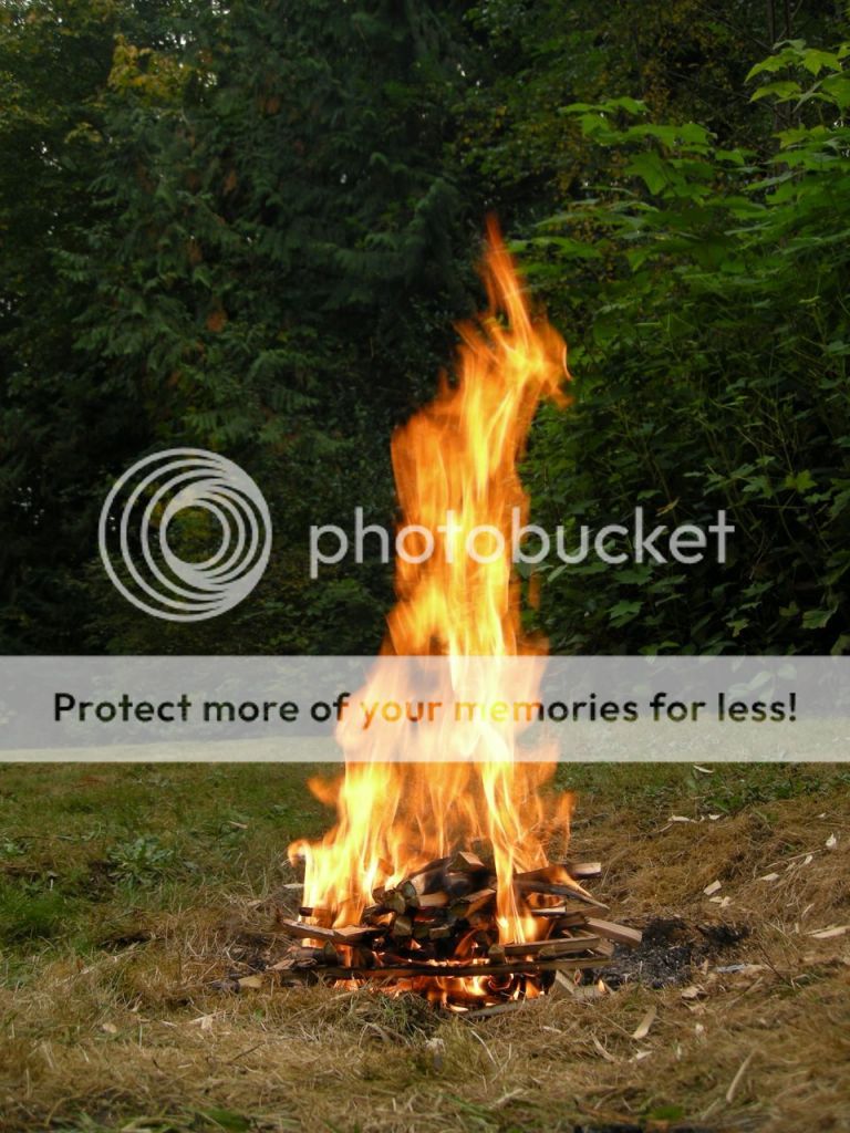 FireContest101.jpg