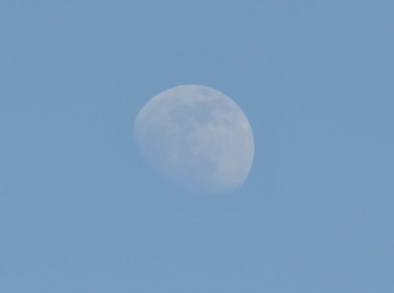 DSC_9296.jpg
