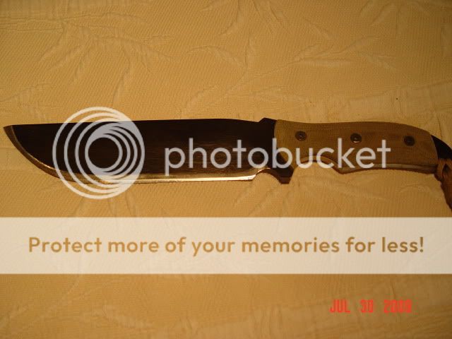 DSC00019.jpg