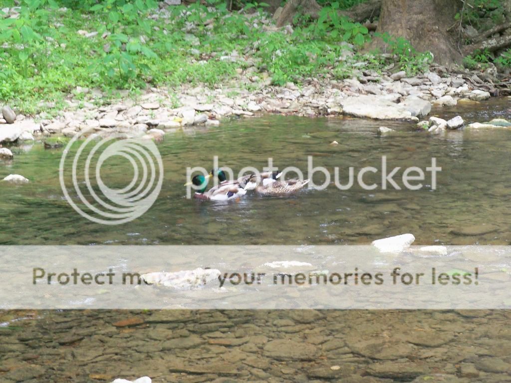 100_5284.jpg
