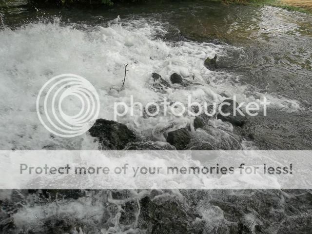 100_3441.jpg