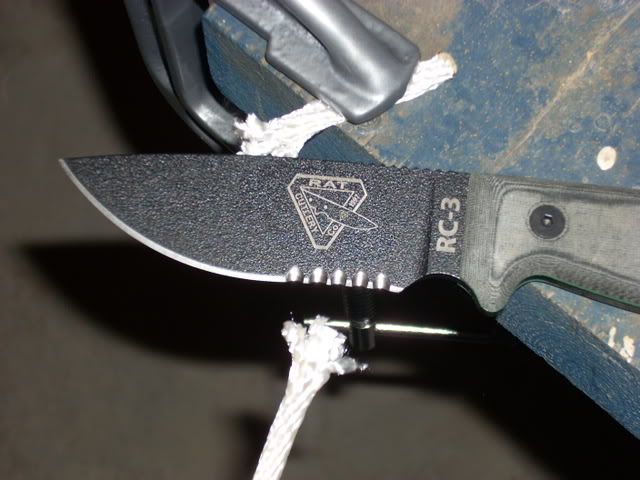 DSCN1310.jpg