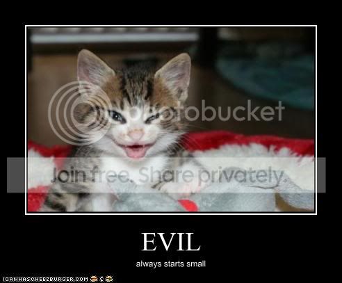 funny-pictures-kitten-is-evil.jpg