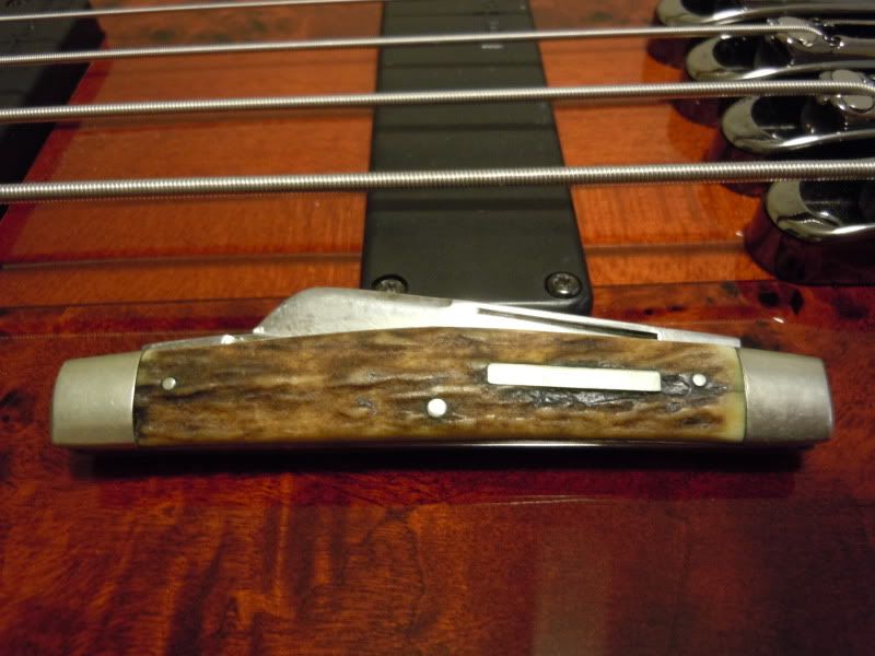 DSCN0237.jpg