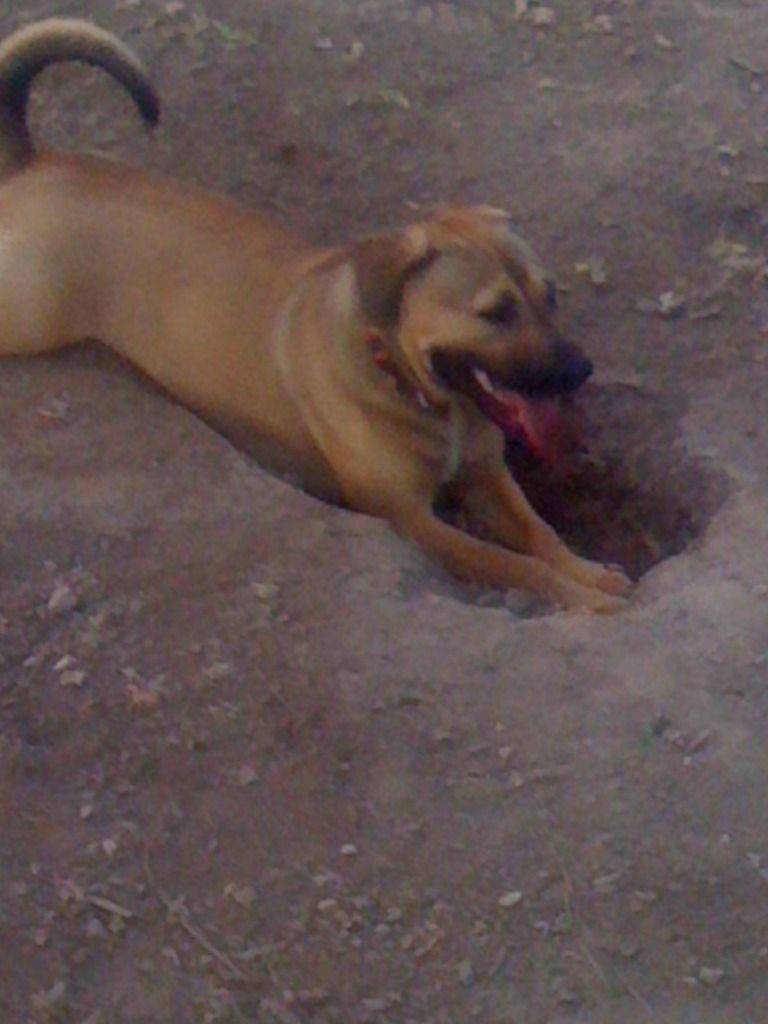 June102012470.jpg